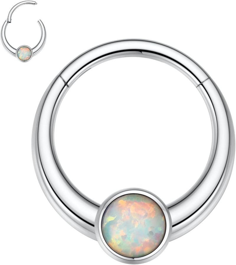 FUNLMO Store 316L Surgical Steel Septum Ring Nose Ring Hoop Hypoallergenic Daith Cartilage Conch Tragus Rook Earlobe Piercing Jewerly for Women Men - Image 1